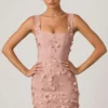 Mini-robe corset Briar à appliqués décorés, couleur rose poudré Mini-robe corset Briar à appliqués décorés, couleur rose poudré
