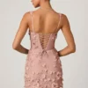 Mini-robe corset Briar à appliqués décorés, couleur rose poudré Mini-robe corset Briar à appliqués décorés, couleur rose poudré