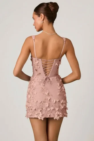 Mini-robe corset Briar à appliqués décorés, couleur rose poudré