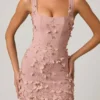 Mini-robe corset Briar à appliqués décorés, couleur rose poudré Mini-robe corset Briar à appliqués décorés, couleur rose poudré