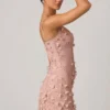Mini-robe corset Briar à appliqués décorés, couleur rose poudré Mini-robe corset Briar à appliqués décorés, couleur rose poudré