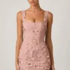 Mini-robe corset Briar à appliqués décorés, couleur rose poudré Mini-robe corset Briar à appliqués décorés, couleur rose poudré