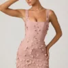 Mini-robe corset Briar à appliqués décorés, couleur rose poudré Mini-robe corset Briar à appliqués décorés, couleur rose poudré