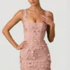 Mini-robe corset Briar à appliqués décorés, couleur rose poudré Mini-robe corset Briar à appliqués décorés, couleur rose poudré