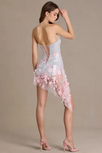 Mini-robe corset en tulle ornée Colette, rose pâle