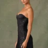 Robe A-line à encolure en cœur et ornements Viela en noir Robe A-line à encolure en cœur et ornements Viela en noir