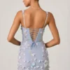 Robe corset à appliqués Briar en bleu ciel Robe corset à appliqués Briar en bleu ciel