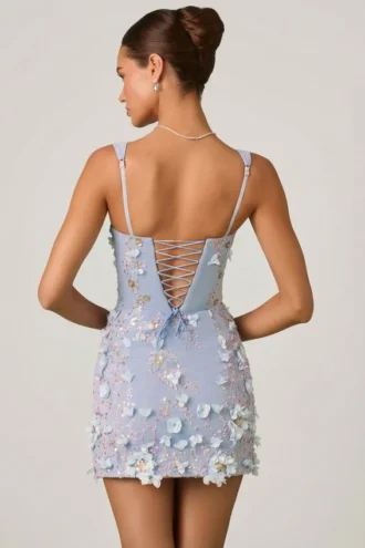 Robe corset à appliqués Briar en bleu ciel