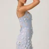 Robe corset à appliqués Briar en bleu ciel Robe corset à appliqués Briar en bleu ciel