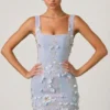 Robe corset à appliqués Briar en bleu ciel Robe corset à appliqués Briar en bleu ciel