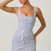 Robe corset à appliqués Briar en bleu ciel Robe corset à appliqués Briar en bleu ciel