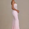 Robe corset en dentelle ornée Beatrix Premium, couleur rose pâle Robe corset en dentelle ornée Beatrix Premium, couleur rose pâle