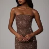 Robe courte moulante transparente ornée Caprice, couleur Deep Cocoa Robe courte moulante transparente ornée Caprice, couleur Deep Cocoa