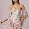Robe courte à volants et épaules dénudées Birdie à imprimé floral Primrose Robe courte à volants et épaules dénudées Birdie à imprimé floral Primrose
